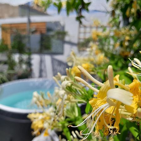 مبيت وإفطار إج مورت Le Petit Patio المظهر الخارجي الصورة