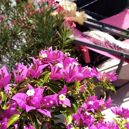 مبيت وإفطار إج مورت Le Petit Patio المظهر الخارجي الصورة