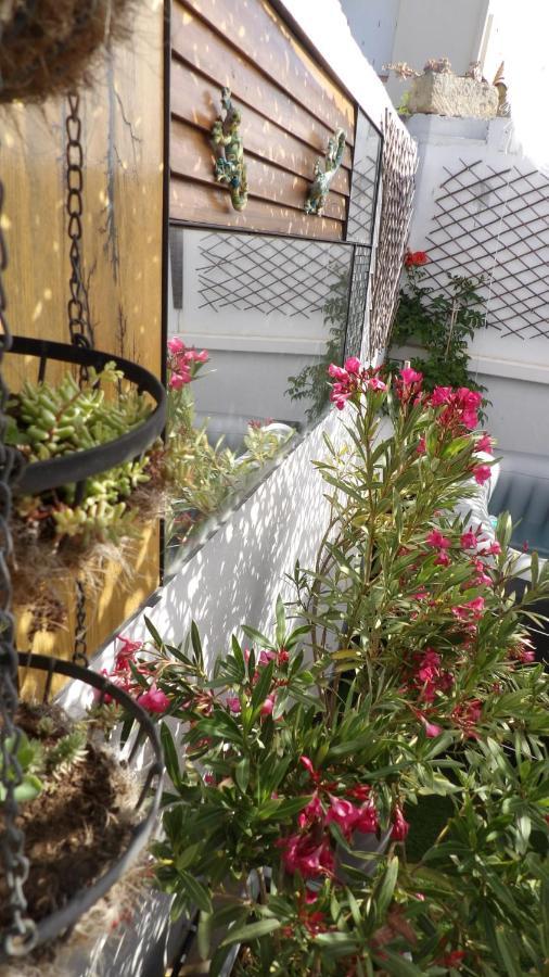 مبيت وإفطار إج مورت Le Petit Patio المظهر الخارجي الصورة