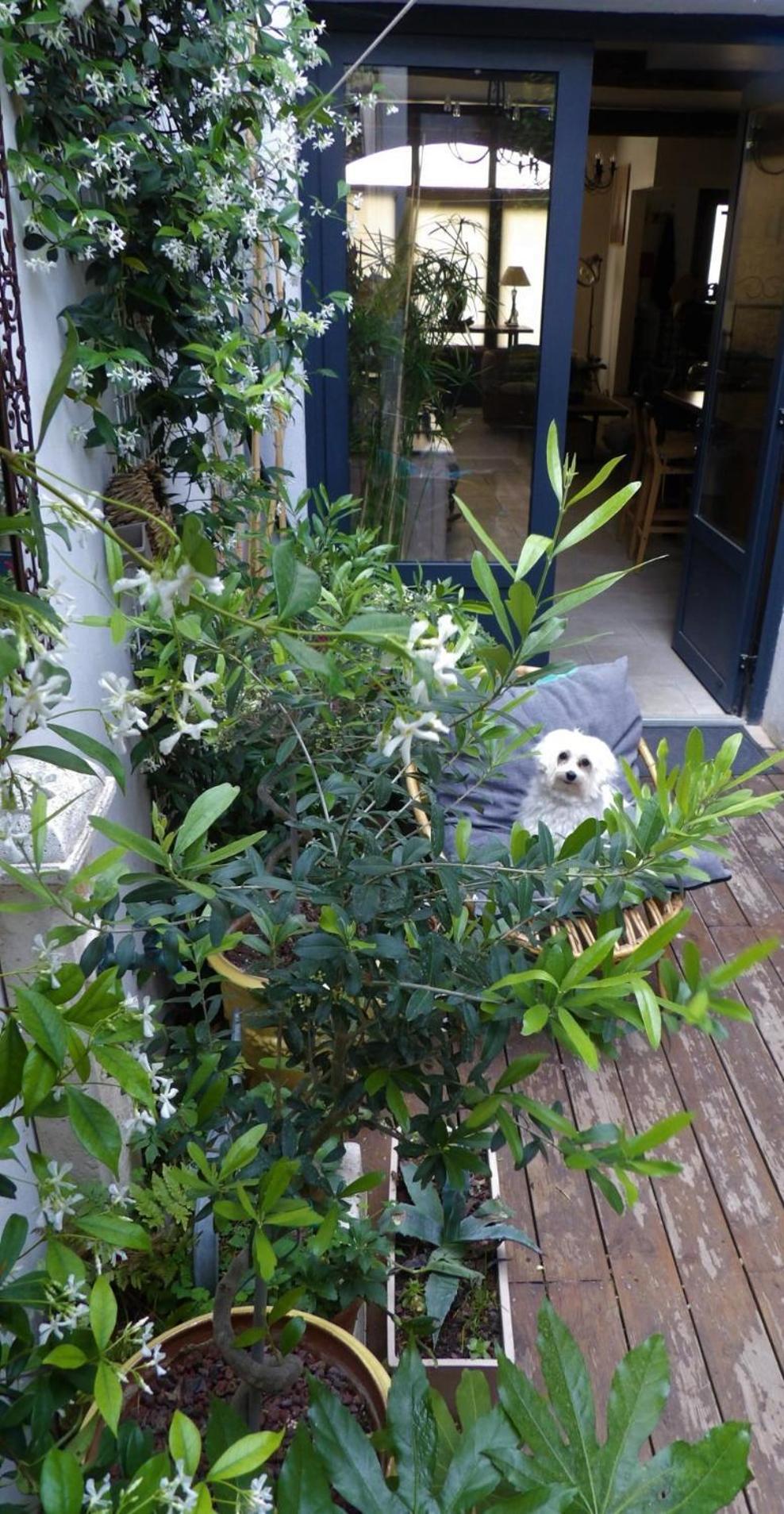 مبيت وإفطار إج مورت Le Petit Patio المظهر الخارجي الصورة