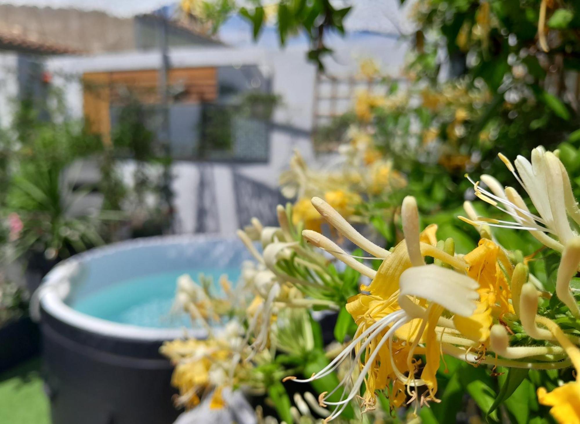مبيت وإفطار إج مورت Le Petit Patio المظهر الخارجي الصورة
