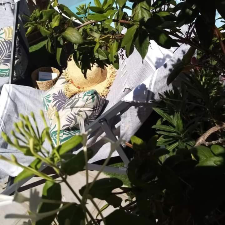 مبيت وإفطار إج مورت Le Petit Patio المظهر الخارجي الصورة