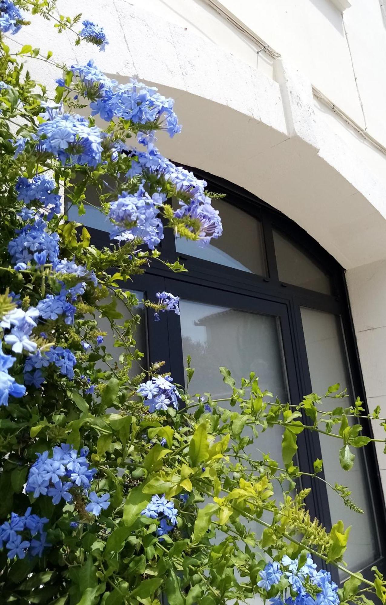 مبيت وإفطار إج مورت Le Petit Patio المظهر الخارجي الصورة