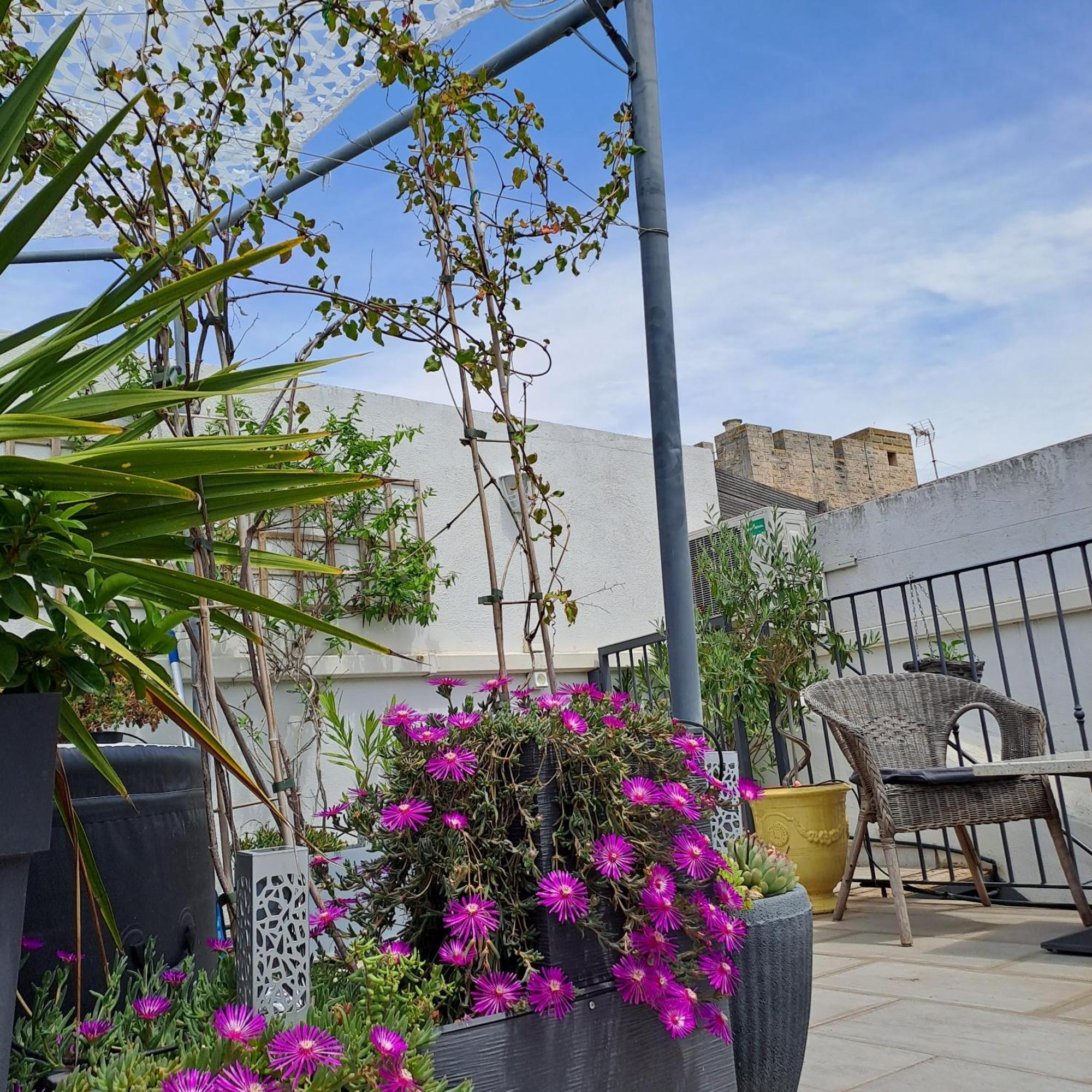 مبيت وإفطار إج مورت Le Petit Patio المظهر الخارجي الصورة