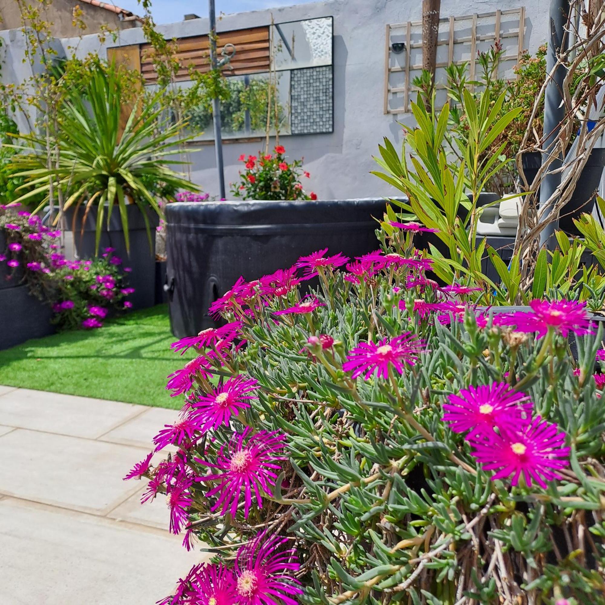 مبيت وإفطار إج مورت Le Petit Patio المظهر الخارجي الصورة