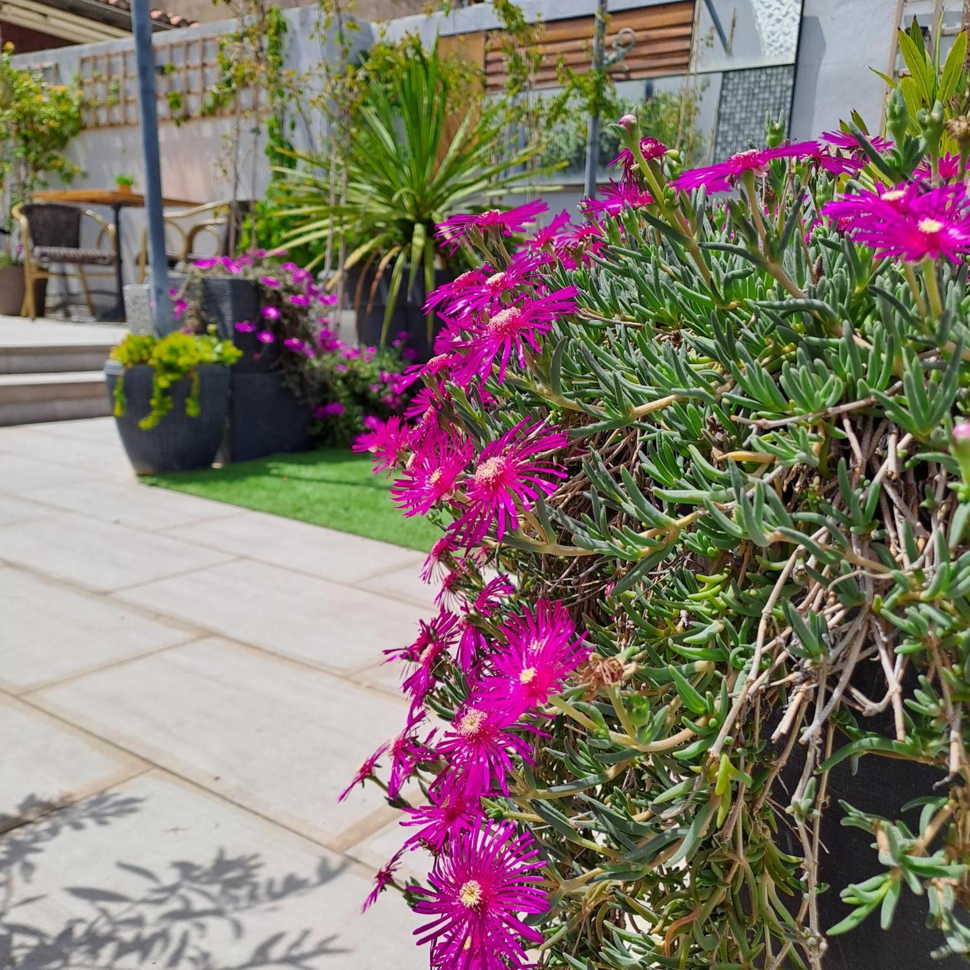 مبيت وإفطار إج مورت Le Petit Patio المظهر الخارجي الصورة